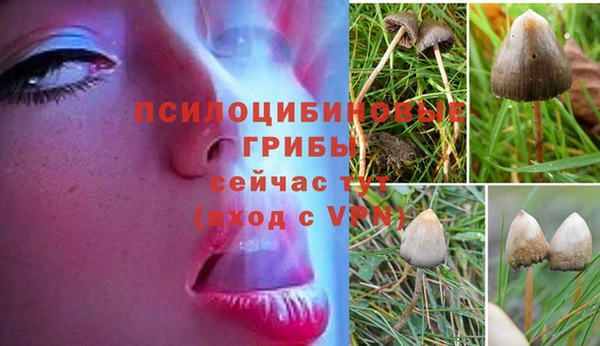 МДМА Бикин